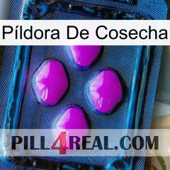 Píldora De Cosecha 04